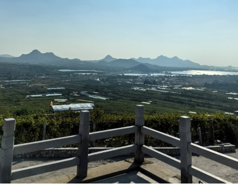 平度大澤山葡萄園引進(jìn)萊恩德土壤肥料檢測(cè)儀， 輕松掌握土壤營(yíng)養(yǎng)